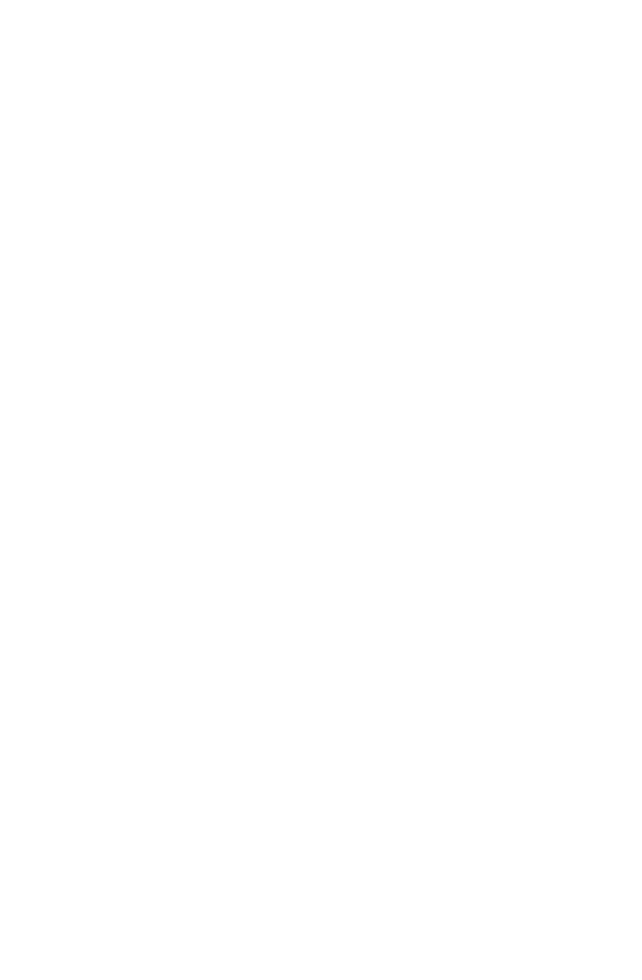 Soliman Hossameldin